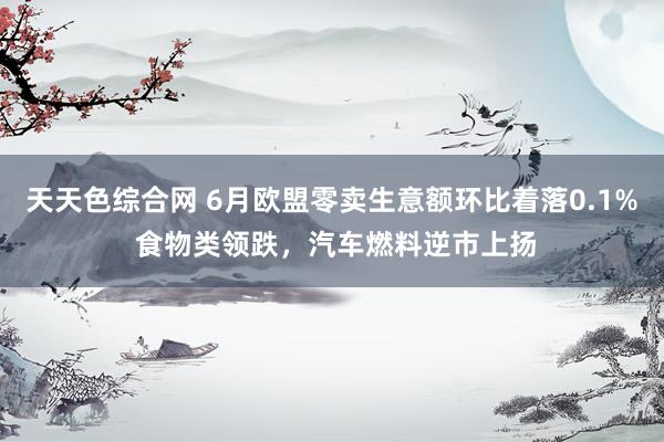 天天色综合网 6月欧盟零卖生意额环比着落0.1% 食物类领跌，汽车燃料逆市上扬