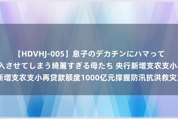 【HDVHJ-005】息子のデカチンにハマってしまい毎日のように挿入させてしまう綺麗すぎる母たち 央行新增支农支小再贷款额度1000亿元撑握防汛抗洪救灾及灾后重建