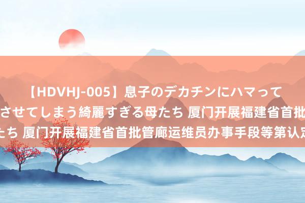 【HDVHJ-005】息子のデカチンにハマってしまい毎日のように挿入させてしまう綺麗すぎる母たち 厦门开展福建省首批管廊运维员办事手段等第认定