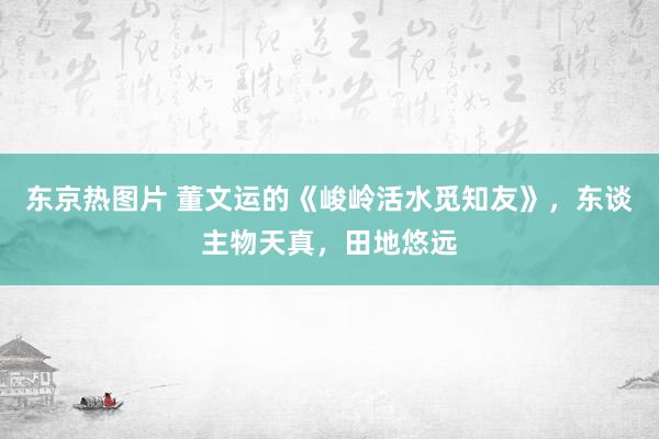 东京热图片 董文运的《峻岭活水觅知友》，东谈主物天真，田地悠远
