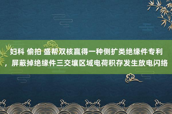 妇科 偷拍 盛帮双核赢得一种侧扩类绝缘件专利，屏蔽掉绝缘件三交壤区域电荷积存发生放电闪络