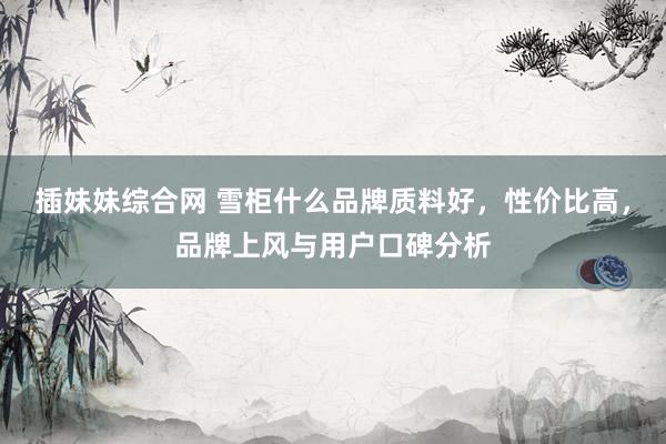 插妹妹综合网 雪柜什么品牌质料好，性价比高，品牌上风与用户口碑分析