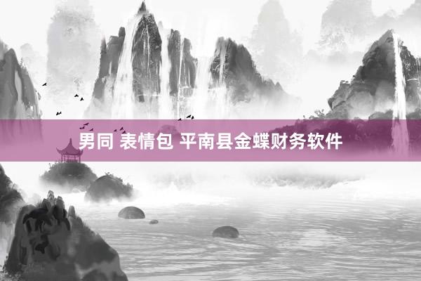 男同 表情包 平南县金蝶财务软件