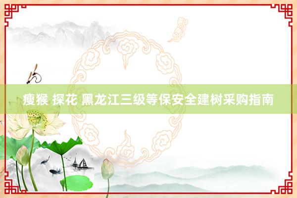 瘦猴 探花 黑龙江三级等保安全建树采购指南