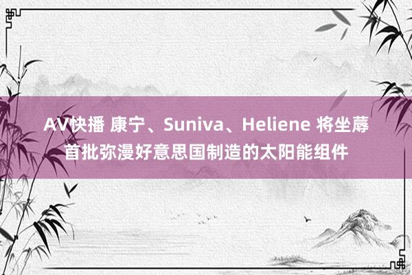 AV快播 康宁、Suniva、Heliene 将坐蓐首批弥漫好意思国制造的太阳能组件