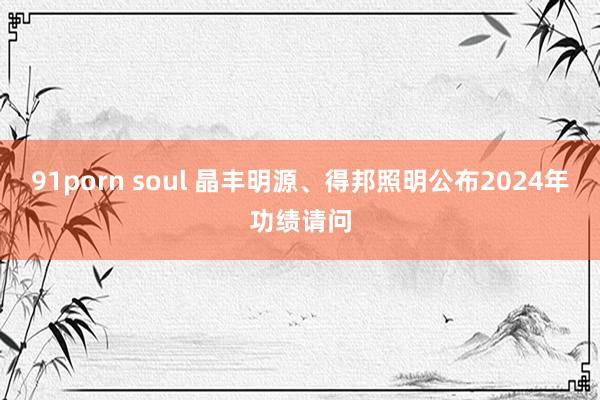 91porn soul 晶丰明源、得邦照明公布2024年功绩请问