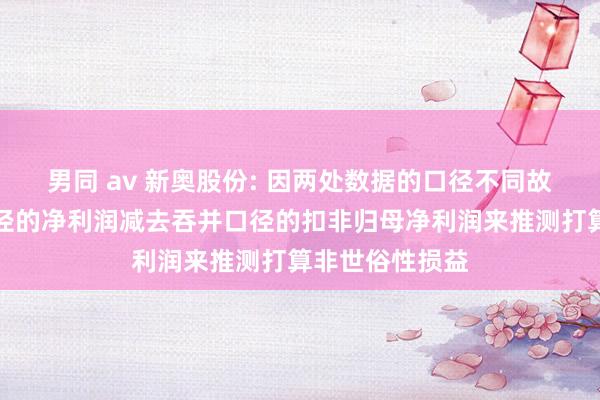 男同 av 新奥股份: 因两处数据的口径不同故不成将单家口径的净利润减去吞并口径的扣非归母净利润来推测打算非世俗性损益