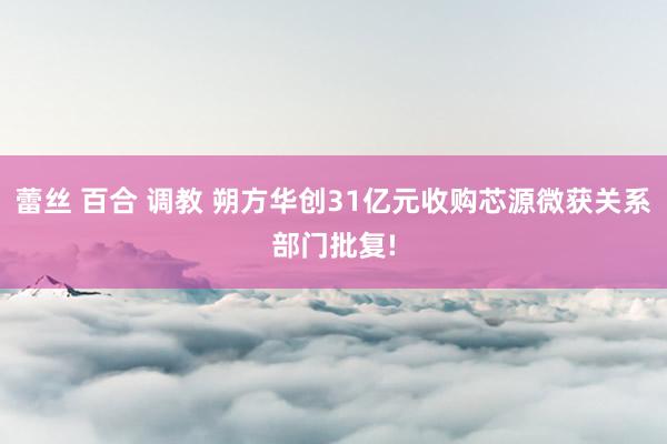 蕾丝 百合 调教 朔方华创31亿元收购芯源微获关系部门批复!