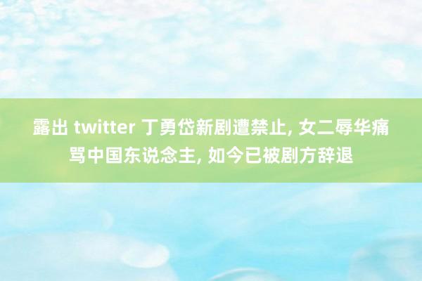露出 twitter 丁勇岱新剧遭禁止， 女二辱华痛骂中国东说念主， 如今已被剧方辞退