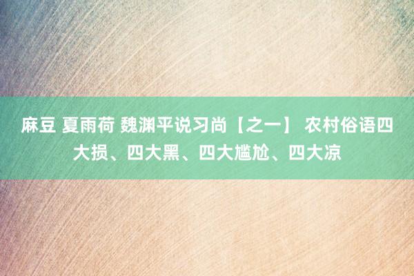 麻豆 夏雨荷 魏渊平说习尚【之一】 农村俗语四大损、四大黑、四大尴尬、四大凉